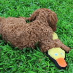 Duck Dog Toy, Squeaky Dog Toys, Plush Dog Toys for Small Medium Large Dogs to Keep Them Busy, Stuffed Puppy Toys, Interactive Dog Toys for Aggressive Chewers - Image 7