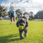 Dog Tennis Ball Toy, 6Pcs Fetch Balls for Puppy to Small Dogs (2-Inch AFP Mini Automatic Ball Launcher Refills) - Image 7