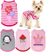 Dog Shirt for Small Dogs Girl - Small Dog Clothes Female - Chihuahua Yorkie Teacup Dog Clothes - XS Dog Clothes - XXS Dog Clothing - Puppy Clothes for Small Dogs Girl - Fall Girl Dog Clothes Pink