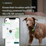Go Explore/The Ultimate Health + GPS Location Tracker for Pets/Green (100-04202-00) - Image 2