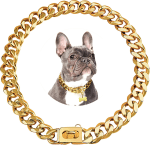 Gold Dog Chain Collar 19Mm Stainless Steel Cuban Link Chain Strong Heavy Duty Chew Proof Dog Necklace with Buckle for Luxury Training Dog Chain Collars for Medium Large Dog Gold Chain (16 Inch)