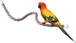 Pet Comfy Perch for Birds Flexible Multi-Color Rope, Medium - 32" Length - Image 5