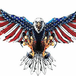 Wooden Jigsaw Puzzles, Bald Eagle Shape Wooden Puzzles for Adults,173 Pcs Unique Wooden Animals Shaped Puzzles,Magic Wooden Jigsaw Puzzles, Best Gift for Adults and Kids, 14.33" X 9.84"