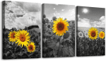 Large Size Canvas Wall Art for Living Room Family Bedroom Wall Painting Decoration,Bathroom Wall Decor Kitchen Home Decoration Black and White Sunflower Flowerswall Pictures Artwork,16X24 3 Piece