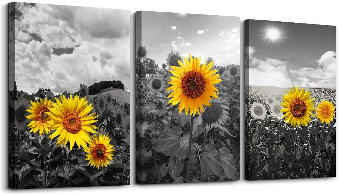 4dc6ecdbb0940f084cadb413305b48fb.png Large Size Canvas Wall Art for Living Room Family Bedroom Wall Painting Decoration,Bathroom Wall Decor Kitchen Home Decoration Black and White Sunflower Flowerswall Pictures Artwork,16X24 3 Piece - Image 1