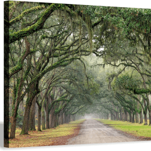 Oak Tree Canvas Wall Art: Green Landscape Artwork Forest Picture Painting Small Size for Bathroom (16'' X 12'' X 1 Panel)